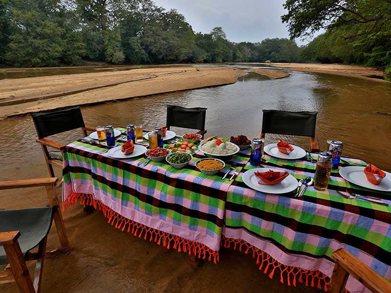 Kumana Safari Camping, Camping in Kumana, Safari Camping in Kumana, Kumana Safari Camping Tours, Camping Safaris in Kumana, Kumana Safari Camp, Kumana Camping, Safari Camping in Kumana, Kumana Camping Safari Tours