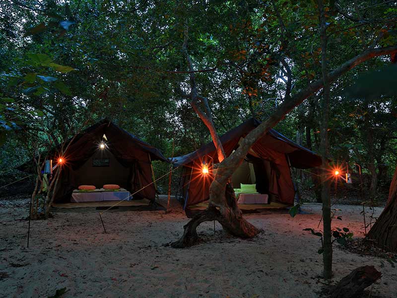 Kumana Safari Camping, Camping in Kumana, Safari Camping in Kumana, Kumana Safari Camping Tours, Camping Safaris in Kumana, Kumana Safari Camp, Kumana Camping, Safari Camping in Kumana, Kumana Camping Safari Tours