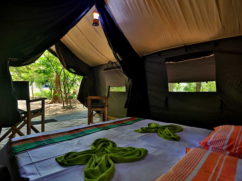 Kumana Safari Camping, Camping in Kumana, Safari Camping in Kumana, Kumana Safari Camping Tours, Camping Safaris in Kumana, Kumana Safari Camp, Kumana Camping, Safari Camping in Kumana, Kumana Camping Safari Tours