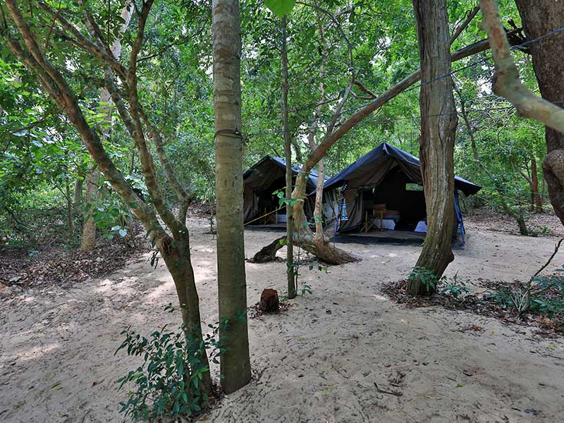 Kumana Safari Camping, Camping in Kumana, Safari Camping in Kumana, Kumana Safari Camping Tours, Camping Safaris in Kumana, Kumana Safari Camp, Kumana Camping, Safari Camping in Kumana, Kumana Camping Safari Tours