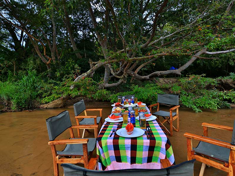 Kumana Safari Camping, Camping in Kumana, Safari Camping in Kumana, Kumana Safari Camping Tours, Camping Safaris in Kumana, Kumana Safari Camp, Kumana Camping, Safari Camping in Kumana, Kumana Camping Safari Tours