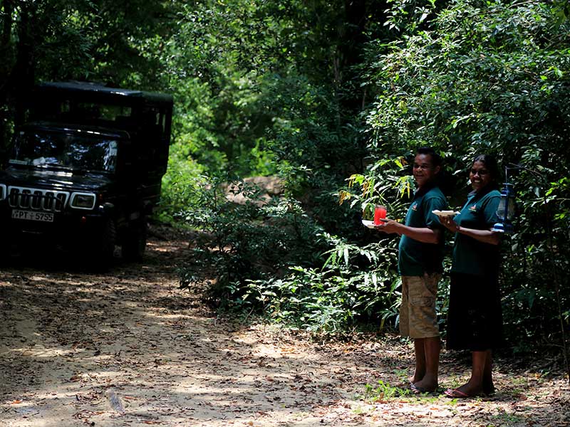 Kumana Safari Camping, Camping in Kumana, Safari Camping in Kumana, Kumana Safari Camping Tours, Camping Safaris in Kumana, Kumana Safari Camp, Kumana Camping, Safari Camping in Kumana, Kumana Camping Safari Tours