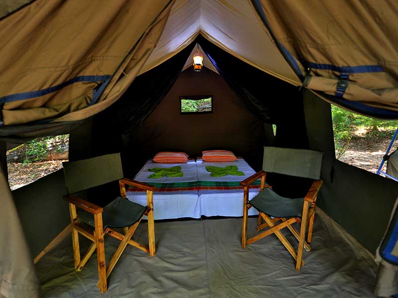 Kumana Safari Camping, Camping in Kumana, Safari Camping in Kumana, Kumana Safari Camping Tours, Camping Safaris in Kumana, Kumana Safari Camp, Kumana Camping, Safari Camping in Kumana, Kumana Camping Safari Tours