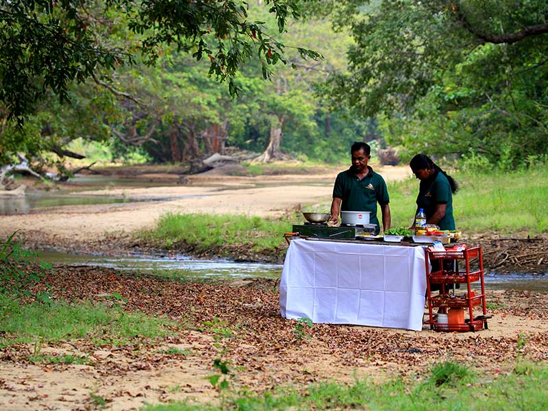 Kumana Safari Camping, Camping in Kumana, Safari Camping in Kumana, Kumana Safari Camping Tours, Camping Safaris in Kumana, Kumana Safari Camp, Kumana Camping, Safari Camping in Kumana, Kumana Camping Safari Tours