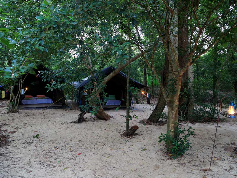 Kumana Safari Camping, Camping in Kumana, Safari Camping in Kumana, Kumana Safari Camping Tours, Camping Safaris in Kumana, Kumana Safari Camp, Kumana Camping, Safari Camping in Kumana, Kumana Camping Safari Tours