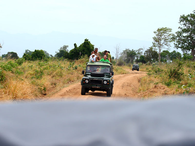 Udawalawe Safari Camping, Camping in Udawalawe, Safari Camping in Udawalawe, Udawalawe Safari Camping Tours, Camping Safaris in Udawalawe, Udawalawe Safari Camp, Udawalawe Camping, Safari Camping in Udawalawe, Udawalawe Camping Safari Tours
