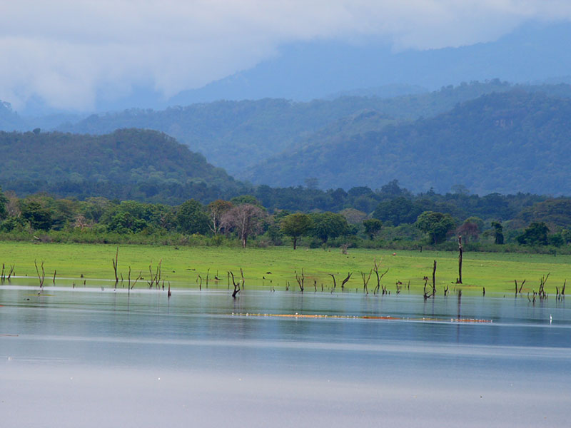 Udawalawe Safari Camping, Camping in Udawalawe, Safari Camping in Udawalawe, Udawalawe Safari Camping Tours, Camping Safaris in Udawalawe, Udawalawe Safari Camp, Udawalawe Camping, Safari Camping in Udawalawe, Udawalawe Camping Safari Tours