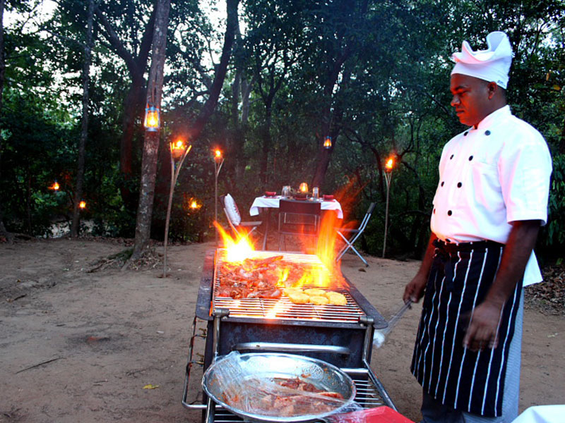Udawalawe Safari Camping, Camping in Udawalawe, Safari Camping in Udawalawe, Udawalawe Safari Camping Tours, Camping Safaris in Udawalawe, Udawalawe Safari Camp, Udawalawe Camping, Safari Camping in Udawalawe, Udawalawe Camping Safari Tours