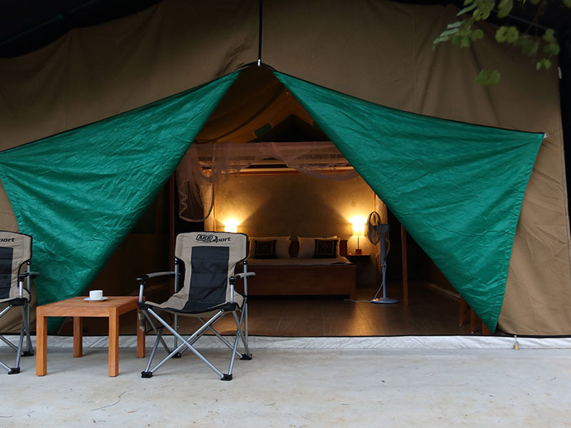 Wilpattu Safari Camping, Camping in Wilpattu, Safari Camping in Wilpattu, Wilpattu Safari Camping Tours, Camping Safaris in Wilpattu, Wilpattu Safari Camp, Wilpattu Camping, Safari Camping in Wilpattu, Wilpattu Camping Safari Tours