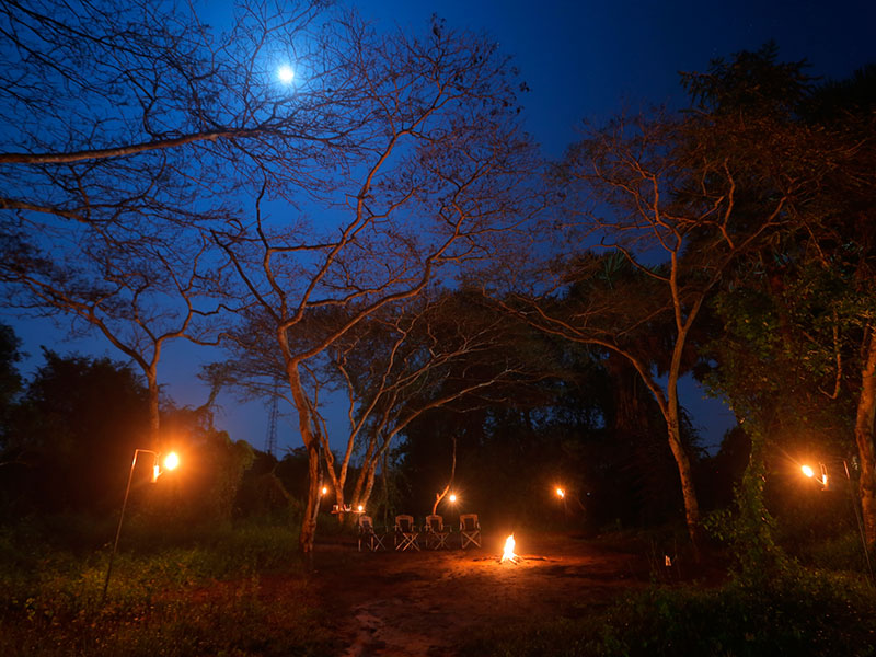 Wilpattu Safari Camping, Camping in Wilpattu, Safari Camping in Wilpattu, Wilpattu Safari Camping Tours, Camping Safaris in Wilpattu, Wilpattu Safari Camp, Wilpattu Camping, Safari Camping in Wilpattu, Wilpattu Camping Safari Tours