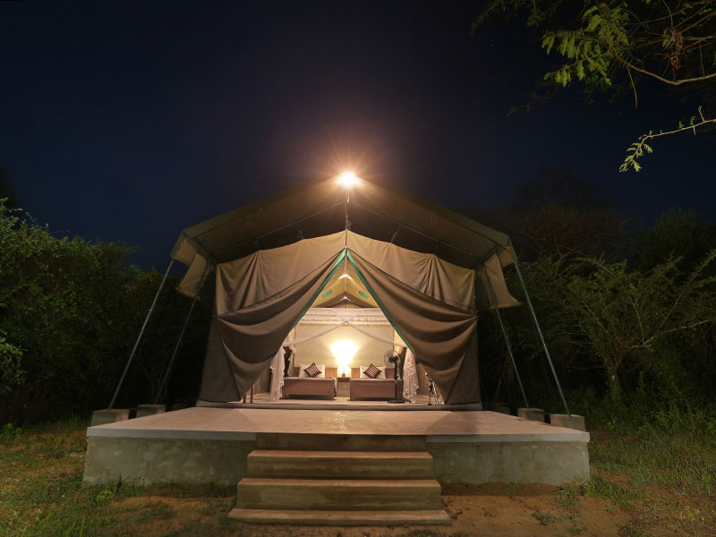 Wilpattu Safari Camping, Camping in Wilpattu, Safari Camping in Wilpattu, Wilpattu Safari Camping Tours, Camping Safaris in Wilpattu, Wilpattu Safari Camp, Wilpattu Camping, Safari Camping in Wilpattu, Wilpattu Camping Safari Tours