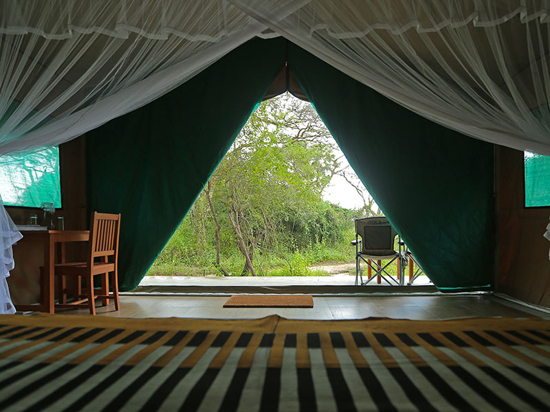 Wilpattu Safari Camping, Camping in Wilpattu, Safari Camping in Wilpattu, Wilpattu Safari Camping Tours, Camping Safaris in Wilpattu, Wilpattu Safari Camp, Wilpattu Camping, Safari Camping in Wilpattu, Wilpattu Camping Safari Tours