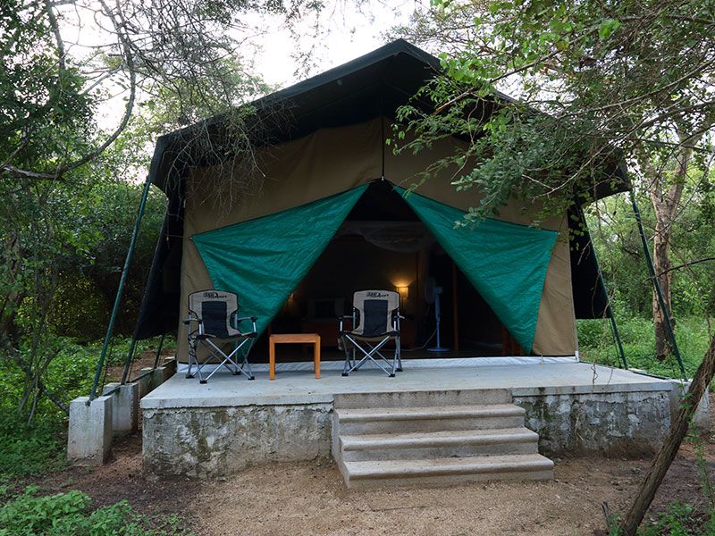 Wilpattu Safari Camping, Camping in Wilpattu, Safari Camping in Wilpattu, Wilpattu Safari Camping Tours, Camping Safaris in Wilpattu, Wilpattu Safari Camp, Wilpattu Camping, Safari Camping in Wilpattu, Wilpattu Camping Safari Tours