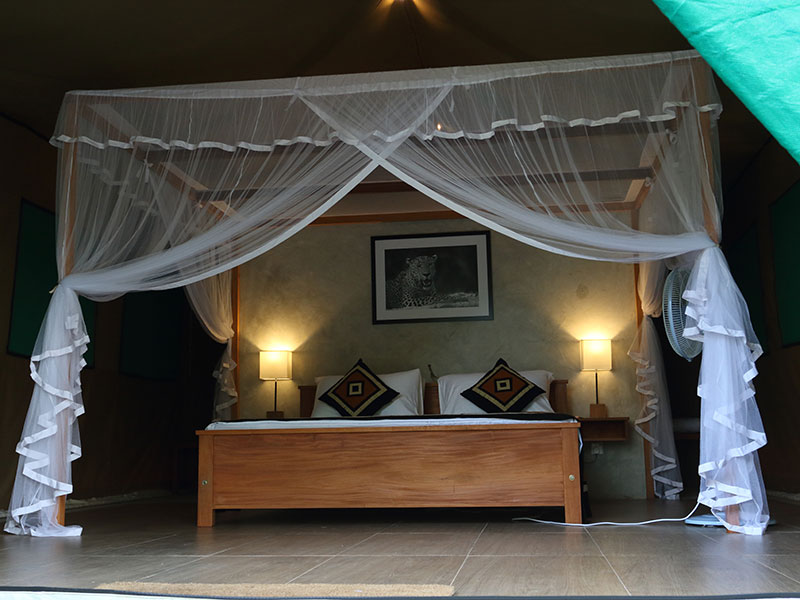 Wilpattu Safari Camping, Camping in Wilpattu, Safari Camping in Wilpattu, Wilpattu Safari Camping Tours, Camping Safaris in Wilpattu, Wilpattu Safari Camp, Wilpattu Camping, Safari Camping in Wilpattu, Wilpattu Camping Safari Tours