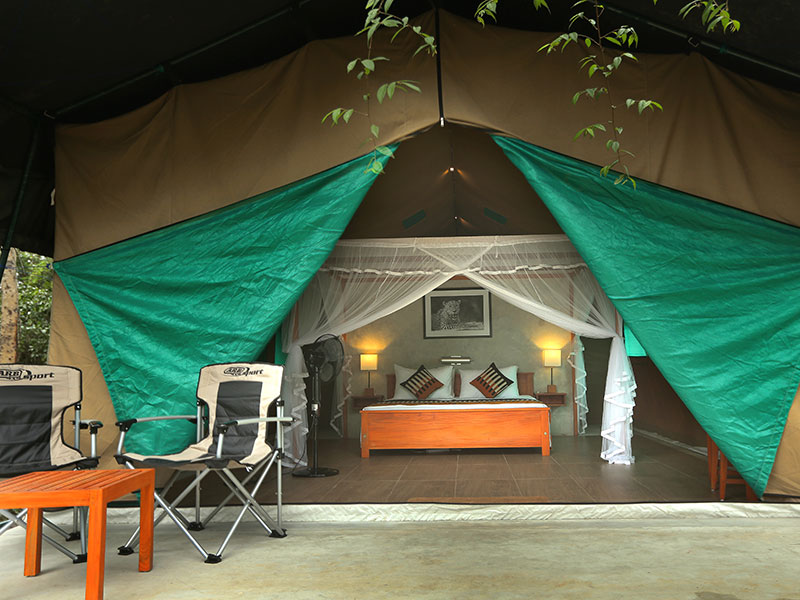 Wilpattu Safari Camping, Camping in Wilpattu, Safari Camping in Wilpattu, Wilpattu Safari Camping Tours, Camping Safaris in Wilpattu, Wilpattu Safari Camp, Wilpattu Camping, Safari Camping in Wilpattu, Wilpattu Camping Safari Tours