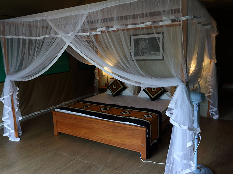 Wilpattu Safari Camping, Camping in Wilpattu, Safari Camping in Wilpattu, Wilpattu Safari Camping Tours, Camping Safaris in Wilpattu, Wilpattu Safari Camp, Wilpattu Camping, Safari Camping in Wilpattu, Wilpattu Camping Safari Tours