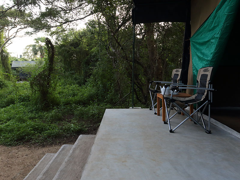 Wilpattu Safari Camping, Camping in Wilpattu, Safari Camping in Wilpattu, Wilpattu Safari Camping Tours, Camping Safaris in Wilpattu, Wilpattu Safari Camp, Wilpattu Camping, Safari Camping in Wilpattu, Wilpattu Camping Safari Tours