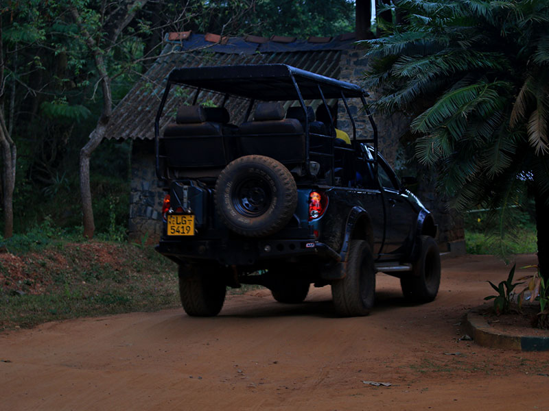 Wilpattu Safari Camping, Camping in Wilpattu, Safari Camping in Wilpattu, Wilpattu Safari Camping Tours, Camping Safaris in Wilpattu, Wilpattu Safari Camp, Wilpattu Camping, Safari Camping in Wilpattu, Wilpattu Camping Safari Tours