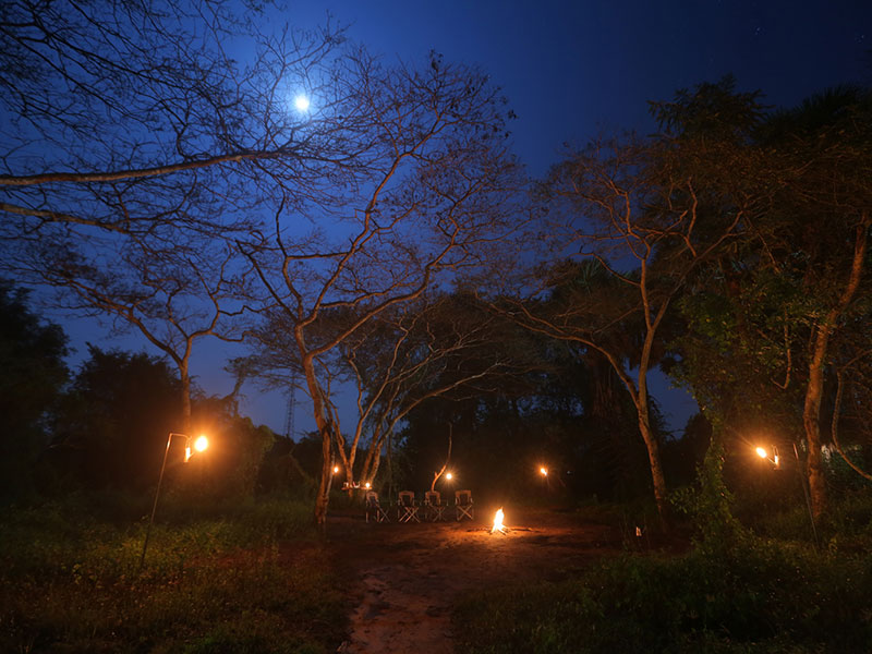 Wilpattu Safari Camping, Camping in Wilpattu, Safari Camping in Wilpattu, Wilpattu Safari Camping Tours, Camping Safaris in Wilpattu, Wilpattu Safari Camp, Wilpattu Camping, Safari Camping in Wilpattu, Wilpattu Camping Safari Tours