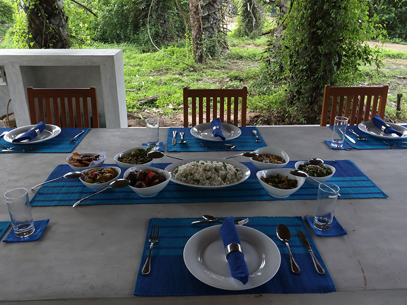 Wilpattu Safari Camping, Camping in Wilpattu, Safari Camping in Wilpattu, Wilpattu Safari Camping Tours, Camping Safaris in Wilpattu, Wilpattu Safari Camp, Wilpattu Camping, Safari Camping in Wilpattu, Wilpattu Camping Safari Tours