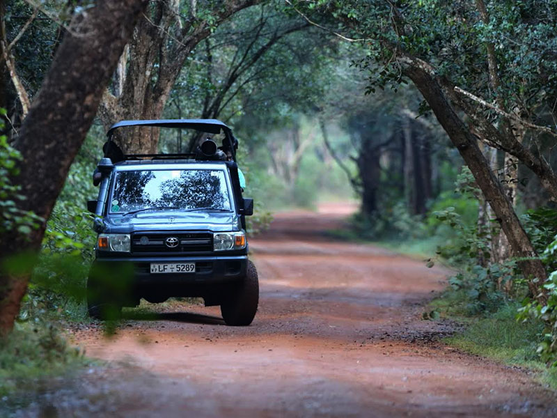Wilpattu Safari Camping, Camping in Wilpattu, Safari Camping in Wilpattu, Wilpattu Safari Camping Tours, Camping Safaris in Wilpattu, Wilpattu Safari Camp, Wilpattu Camping, Safari Camping in Wilpattu, Wilpattu Camping Safari Tours