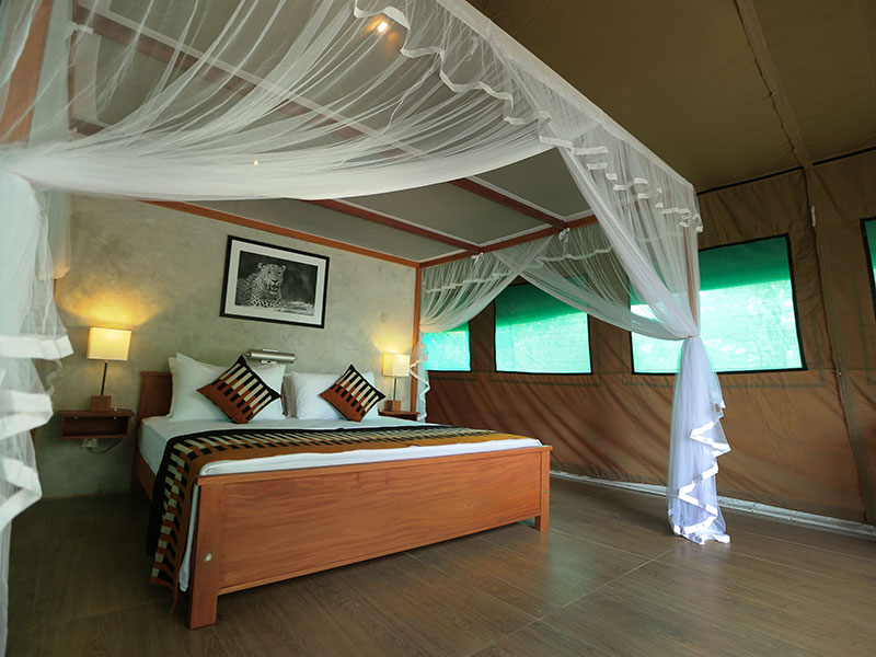 Wilpattu Safari Camping, Camping in Wilpattu, Safari Camping in Wilpattu, Wilpattu Safari Camping Tours, Camping Safaris in Wilpattu, Wilpattu Safari Camp, Wilpattu Camping, Safari Camping in Wilpattu, Wilpattu Camping Safari Tours