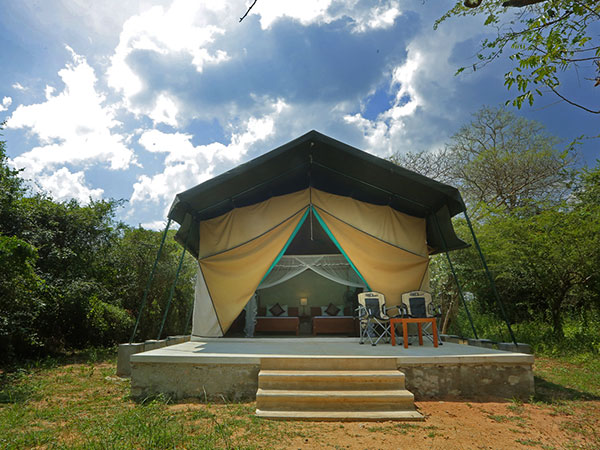 Wilpattu Safari Camping, Camping in Wilpattu, Safari Camping in Wilpattu, Wilpattu Safari Camping Tours, Camping Safaris in Wilpattu, Wilpattu Safari Camp, Wilpattu Camping, Safari Camping in Wilpattu, Wilpattu Camping Safari Tours