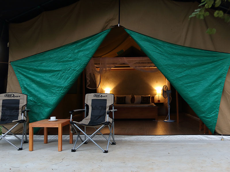 Wilpattu Safari Camping, Camping in Wilpattu, Safari Camping in Wilpattu, Wilpattu Safari Camping Tours, Camping Safaris in Wilpattu, Wilpattu Safari Camp, Wilpattu Camping, Safari Camping in Wilpattu, Wilpattu Camping Safari Tours