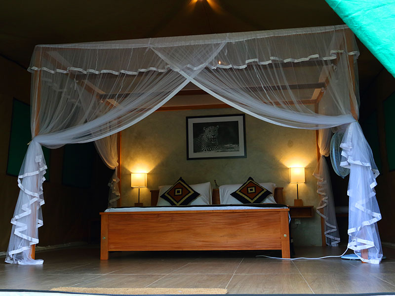 Wilpattu Safari Camping, Camping in Wilpattu, Safari Camping in Wilpattu, Wilpattu Safari Camping Tours, Camping Safaris in Wilpattu, Wilpattu Safari Camp, Wilpattu Camping, Safari Camping in Wilpattu, Wilpattu Camping Safari Tours