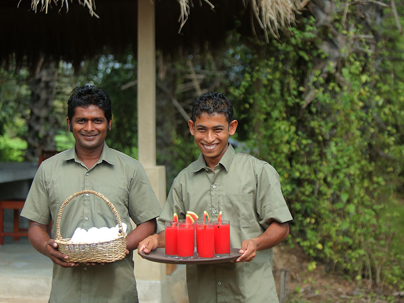 Wilpattu Safari Camping, Camping in Wilpattu, Safari Camping in Wilpattu, Wilpattu Safari Camping Tours, Camping Safaris in Wilpattu, Wilpattu Safari Camp, Wilpattu Camping, Safari Camping in Wilpattu, Wilpattu Camping Safari Tours