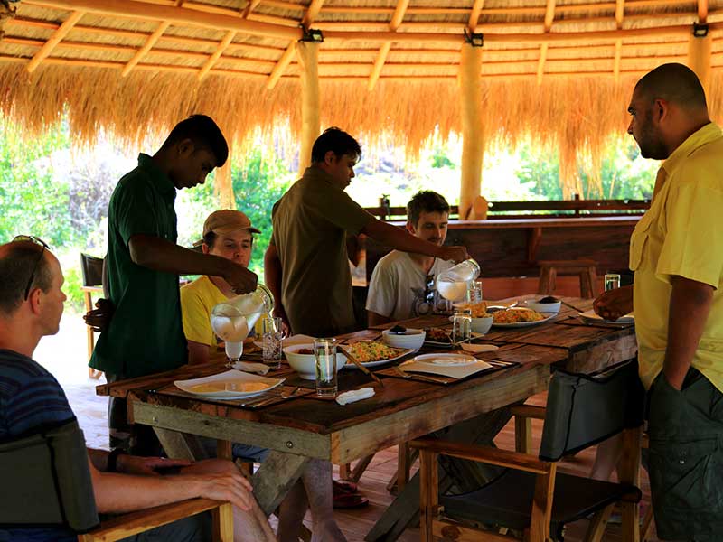 Yala Safari Camping, Camping Safari in Yala, Yala Camping, Camping in Yala, Camping in Yala, Yala Camping in Yala National Park, Yala Camping in Yala Park, Camping Safari in Yala National Park, Yala Camping Tours, Yala Safari Camping Tours, Yala Safari Camping Holidays, Tented Yala Safari Camping, Yala Tented Safari Camping, Camping in Yala National Park, Yala Safari Camping, Tented Safari Camping in Yala, All inclusive Yala Safari Camping, Yala Luxury Safari Camping, Luxury Yala Safari Camping, Luxury Tented Safari Camping in Yala