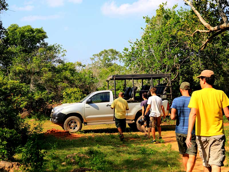 Yala Safari Camping, Camping Safari in Yala, Yala Camping, Camping in Yala, Camping in Yala, Yala Camping in Yala National Park, Yala Camping in Yala Park, Camping Safari in Yala National Park, Yala Camping Tours, Yala Safari Camping Tours, Yala Safari Camping Holidays, Tented Yala Safari Camping, Yala Tented Safari Camping, Camping in Yala National Park, Yala Safari Camping, Tented Safari Camping in Yala, All inclusive Yala Safari Camping, Yala Luxury Safari Camping, Luxury Yala Safari Camping, Luxury Tented Safari Camping in Yala