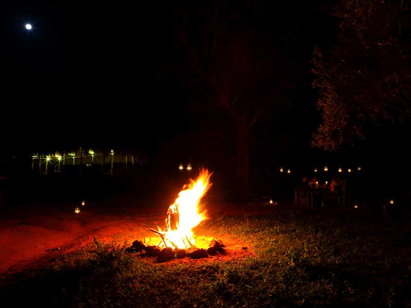 Yala Safari Camping, Camping Safari in Yala, Yala Camping, Camping in Yala, Camping in Yala, Yala Camping in Yala National Park, Yala Camping in Yala Park, Camping Safari in Yala National Park, Yala Camping Tours, Yala Safari Camping Tours, Yala Safari Camping Holidays, Tented Yala Safari Camping, Yala Tented Safari Camping, Camping in Yala National Park, Yala Safari Camping, Tented Safari Camping in Yala, All inclusive Yala Safari Camping, Yala Luxury Safari Camping, Luxury Yala Safari Camping, Luxury Tented Safari Camping in Yala