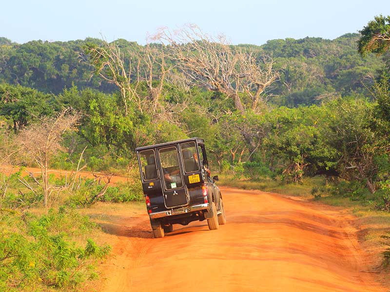Yala Safari Camping, Camping Safari in Yala, Yala Camping, Camping in Yala, Camping in Yala, Yala Camping in Yala National Park, Yala Camping in Yala Park, Camping Safari in Yala National Park, Yala Camping Tours, Yala Safari Camping Tours, Yala Safari Camping Holidays, Tented Yala Safari Camping, Yala Tented Safari Camping, Camping in Yala National Park, Yala Safari Camping, Tented Safari Camping in Yala, All inclusive Yala Safari Camping, Yala Luxury Safari Camping, Luxury Yala Safari Camping, Luxury Tented Safari Camping in Yala