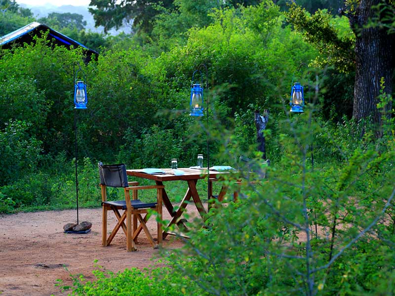 Yala Safari Camping, Camping Safari in Yala, Yala Camping, Camping in Yala, Camping in Yala, Yala Camping in Yala National Park, Yala Camping in Yala Park, Camping Safari in Yala National Park, Yala Camping Tours, Yala Safari Camping Tours, Yala Safari Camping Holidays, Tented Yala Safari Camping, Yala Tented Safari Camping, Camping in Yala National Park, Yala Safari Camping, Tented Safari Camping in Yala, All inclusive Yala Safari Camping, Yala Luxury Safari Camping, Luxury Yala Safari Camping, Luxury Tented Safari Camping in Yala