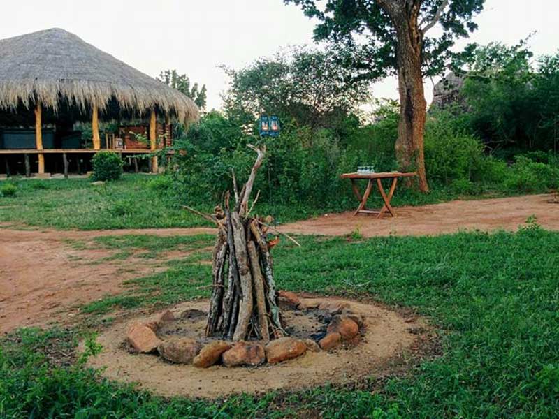 Yala Safari Camping, Camping Safari in Yala, Yala Camping, Camping in Yala, Camping in Yala, Yala Camping in Yala National Park, Yala Camping in Yala Park, Camping Safari in Yala National Park, Yala Camping Tours, Yala Safari Camping Tours, Yala Safari Camping Holidays, Tented Yala Safari Camping, Yala Tented Safari Camping, Camping in Yala National Park, Yala Safari Camping, Tented Safari Camping in Yala, All inclusive Yala Safari Camping, Yala Luxury Safari Camping, Luxury Yala Safari Camping, Luxury Tented Safari Camping in Yala
