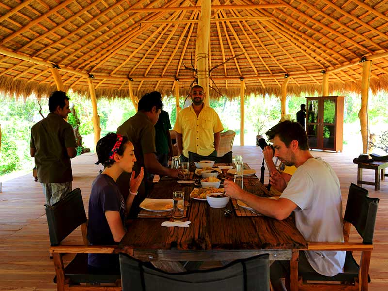Yala Safari Camping, Camping Safari in Yala, Yala Camping, Camping in Yala, Camping in Yala, Yala Camping in Yala National Park, Yala Camping in Yala Park, Camping Safari in Yala National Park, Yala Camping Tours, Yala Safari Camping Tours, Yala Safari Camping Holidays, Tented Yala Safari Camping, Yala Tented Safari Camping, Camping in Yala National Park, Yala Safari Camping, Tented Safari Camping in Yala, All inclusive Yala Safari Camping, Yala Luxury Safari Camping, Luxury Yala Safari Camping, Luxury Tented Safari Camping in Yala