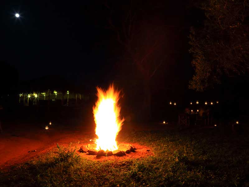 Yala Safari Camping, Camping Safari in Yala, Yala Camping, Camping in Yala, Camping in Yala, Yala Camping in Yala National Park, Yala Camping in Yala Park, Camping Safari in Yala National Park, Yala Camping Tours, Yala Safari Camping Tours, Yala Safari Camping Holidays, Tented Yala Safari Camping, Yala Tented Safari Camping, Camping in Yala National Park, Yala Safari Camping, Tented Safari Camping in Yala, All inclusive Yala Safari Camping, Yala Luxury Safari Camping, Luxury Yala Safari Camping, Luxury Tented Safari Camping in Yala