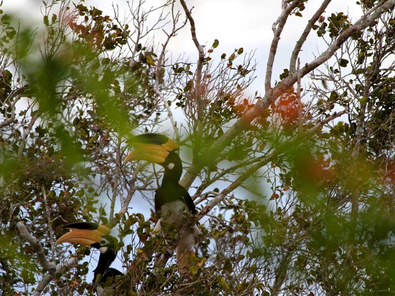 Yala Safari Camping, Camping Safari in Yala, Yala Camping, Camping in Yala, Camping in Yala, Yala Camping in Yala National Park, Yala Camping in Yala Park, Camping Safari in Yala National Park, Yala Camping Tours, Yala Safari Camping Tours, Yala Safari Camping Holidays, Tented Yala Safari Camping, Yala Tented Safari Camping, Camping in Yala National Park, Yala Safari Camping, Tented Safari Camping in Yala, All inclusive Yala Safari Camping, Yala Luxury Safari Camping, Luxury Yala Safari Camping, Luxury Tented Safari Camping in Yala