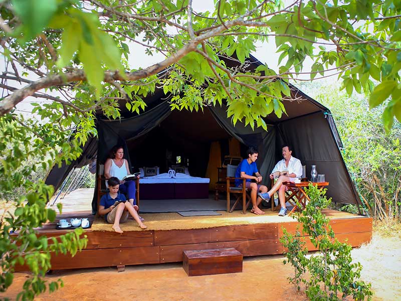 Yala Safari Camping, Camping Safari in Yala, Yala Camping, Camping in Yala, Camping in Yala, Yala Camping in Yala National Park, Yala Camping in Yala Park, Camping Safari in Yala National Park, Yala Camping Tours, Yala Safari Camping Tours, Yala Safari Camping Holidays, Tented Yala Safari Camping, Yala Tented Safari Camping, Camping in Yala National Park, Yala Safari Camping, Tented Safari Camping in Yala, All inclusive Yala Safari Camping, Yala Luxury Safari Camping, Luxury Yala Safari Camping, Luxury Tented Safari Camping in Yala