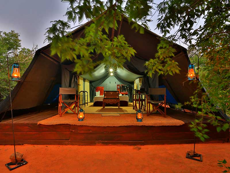 Yala Safari Camping, Camping Safari in Yala, Yala Camping, Camping in Yala, Camping in Yala, Yala Camping in Yala National Park, Yala Camping in Yala Park, Camping Safari in Yala National Park, Yala Camping Tours, Yala Safari Camping Tours, Yala Safari Camping Holidays, Tented Yala Safari Camping, Yala Tented Safari Camping, Camping in Yala National Park, Yala Safari Camping, Tented Safari Camping in Yala, All inclusive Yala Safari Camping, Yala Luxury Safari Camping, Luxury Yala Safari Camping, Luxury Tented Safari Camping in Yala