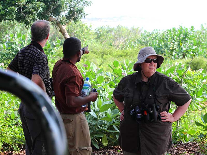 Yala Safari Camping, Camping Safari in Yala, Yala Camping, Camping in Yala, Camping in Yala, Yala Camping in Yala National Park, Yala Camping in Yala Park, Camping Safari in Yala National Park, Yala Camping Tours, Yala Safari Camping Tours, Yala Safari Camping Holidays, Tented Yala Safari Camping, Yala Tented Safari Camping, Camping in Yala National Park, Yala Safari Camping, Tented Safari Camping in Yala, All inclusive Yala Safari Camping, Yala Luxury Safari Camping, Luxury Yala Safari Camping, Luxury Tented Safari Camping in Yala