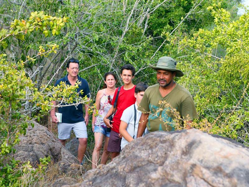 Yala Safari Camping, Camping Safari in Yala, Yala Camping, Camping in Yala, Camping in Yala, Yala Camping in Yala National Park, Yala Camping in Yala Park, Camping Safari in Yala National Park, Yala Camping Tours, Yala Safari Camping Tours, Yala Safari Camping Holidays, Tented Yala Safari Camping, Yala Tented Safari Camping, Camping in Yala National Park, Yala Safari Camping, Tented Safari Camping in Yala, All inclusive Yala Safari Camping, Yala Luxury Safari Camping, Luxury Yala Safari Camping, Luxury Tented Safari Camping in Yala