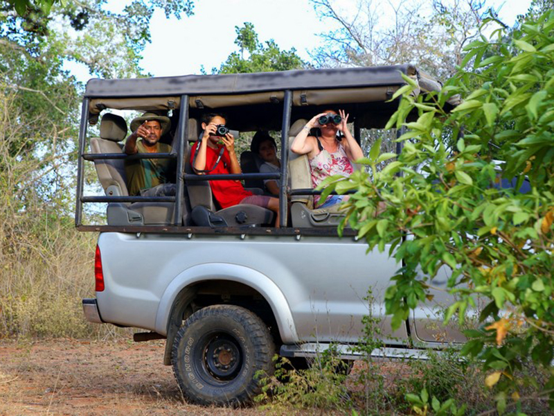 Yala Safari Camping, Camping Safari in Yala, Yala Camping, Camping in Yala, Camping in Yala, Yala Camping in Yala National Park, Yala Camping in Yala Park, Camping Safari in Yala National Park, Yala Camping Tours, Yala Safari Camping Tours, Yala Safari Camping Holidays, Tented Yala Safari Camping, Yala Tented Safari Camping, Camping in Yala National Park, Yala Safari Camping, Tented Safari Camping in Yala, All inclusive Yala Safari Camping, Yala Luxury Safari Camping, Luxury Yala Safari Camping, Luxury Tented Safari Camping in Yala