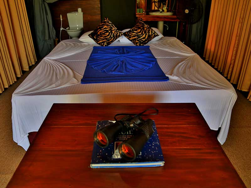 Yala Safari Camping, Camping Safari in Yala, Yala Camping, Camping in Yala, Camping in Yala, Yala Camping in Yala National Park, Yala Camping in Yala Park, Camping Safari in Yala National Park, Yala Camping Tours, Yala Safari Camping Tours, Yala Safari Camping Holidays, Tented Yala Safari Camping, Yala Tented Safari Camping, Camping in Yala National Park, Yala Safari Camping, Tented Safari Camping in Yala, All inclusive Yala Safari Camping, Yala Luxury Safari Camping, Luxury Yala Safari Camping, Luxury Tented Safari Camping in Yala