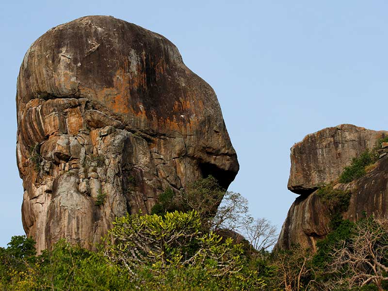 Yala Safari Camping, Camping Safari in Yala, Yala Camping, Camping in Yala, Camping in Yala, Yala Camping in Yala National Park, Yala Camping in Yala Park, Camping Safari in Yala National Park, Yala Camping Tours, Yala Safari Camping Tours, Yala Safari Camping Holidays, Tented Yala Safari Camping, Yala Tented Safari Camping, Camping in Yala National Park, Yala Safari Camping, Tented Safari Camping in Yala, All inclusive Yala Safari Camping, Yala Luxury Safari Camping, Luxury Yala Safari Camping, Luxury Tented Safari Camping in Yala