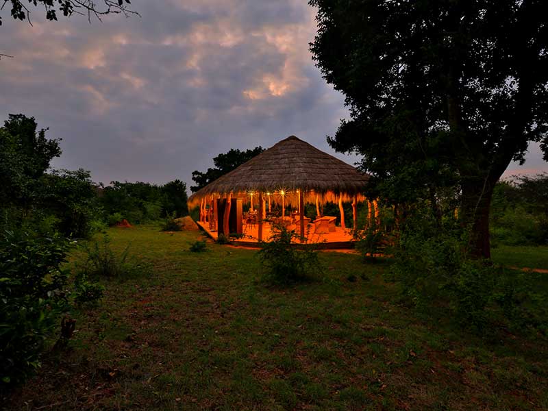 Yala Safari Camping, Camping Safari in Yala, Yala Camping, Camping in Yala, Camping in Yala, Yala Camping in Yala National Park, Yala Camping in Yala Park, Camping Safari in Yala National Park, Yala Camping Tours, Yala Safari Camping Tours, Yala Safari Camping Holidays, Tented Yala Safari Camping, Yala Tented Safari Camping, Camping in Yala National Park, Yala Safari Camping, Tented Safari Camping in Yala, All inclusive Yala Safari Camping, Yala Luxury Safari Camping, Luxury Yala Safari Camping, Luxury Tented Safari Camping in Yala