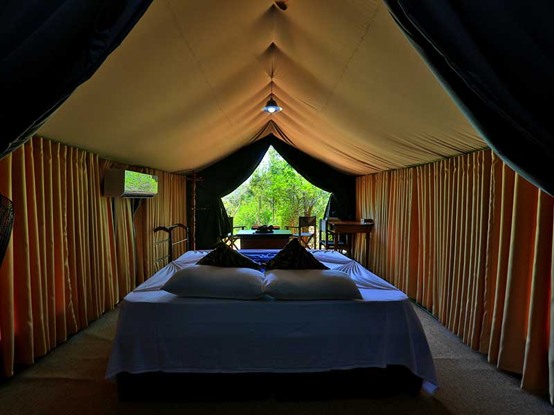 Yala Safari Camping, Camping Safari in Yala, Yala Camping, Camping in Yala, Camping in Yala, Yala Camping in Yala National Park, Yala Camping in Yala Park, Camping Safari in Yala National Park, Yala Camping Tours, Yala Safari Camping Tours, Yala Safari Camping Holidays, Tented Yala Safari Camping, Yala Tented Safari Camping, Camping in Yala National Park, Yala Safari Camping, Tented Safari Camping in Yala, All inclusive Yala Safari Camping, Yala Luxury Safari Camping, Luxury Yala Safari Camping, Luxury Tented Safari Camping in Yala
